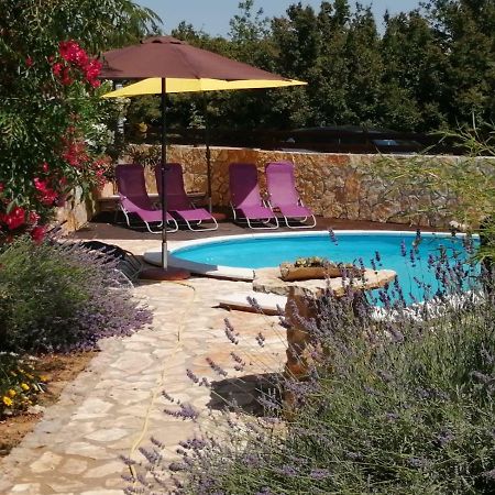 Apartments Zen Maslenica Ngoại thất bức ảnh
